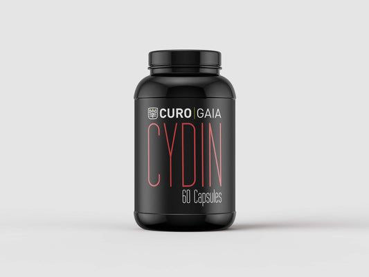 Cydin